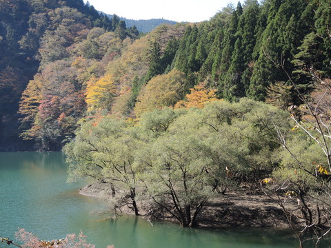 20131117-02_midori-lake.JPG