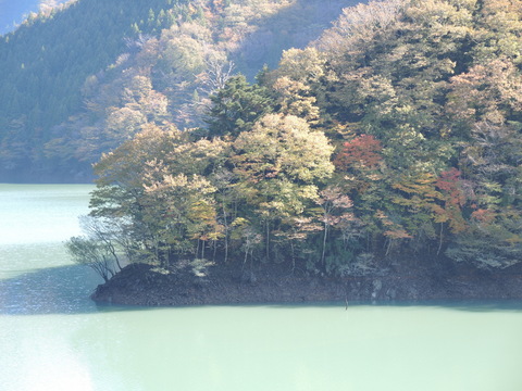 20131117-04_midori-lake.JPG